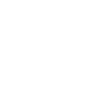 Vangartt logo